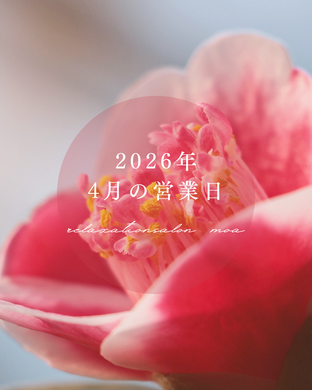 2026年　4月の営業日🌙
