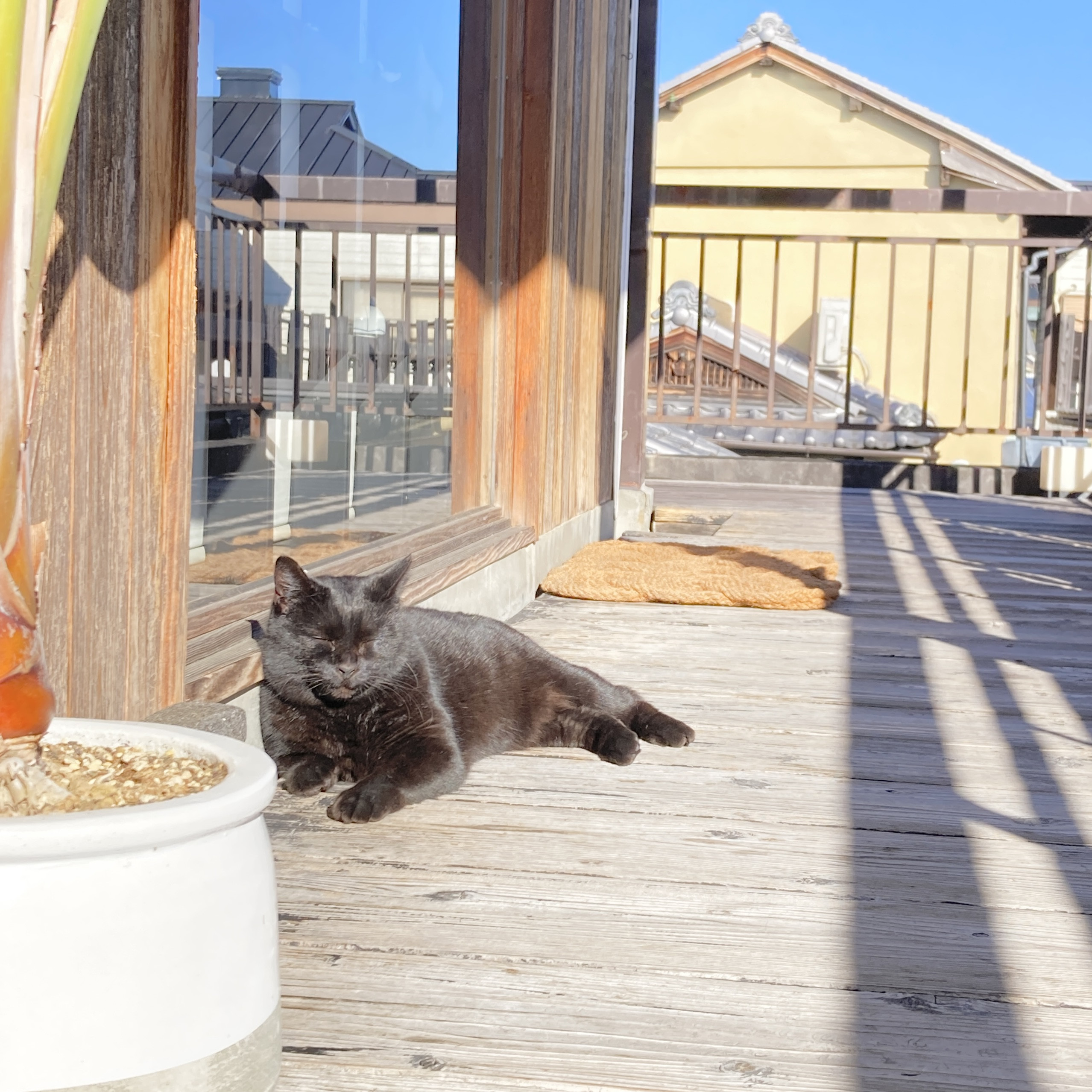 年末年始の営業について