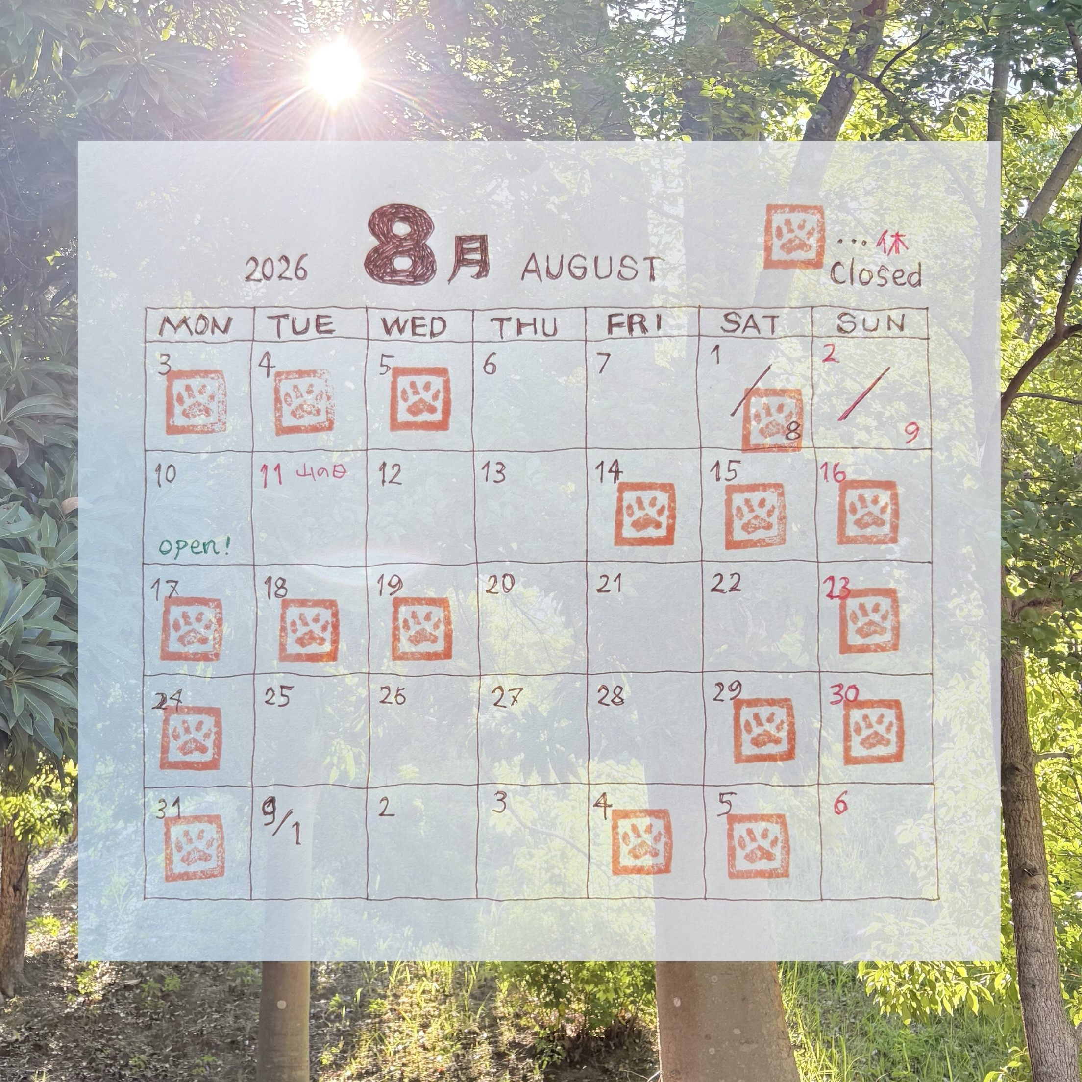『８月のお知らせ』
