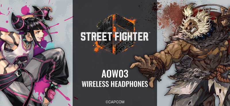 SF6_AOW03_banner_banner_pc.jpg