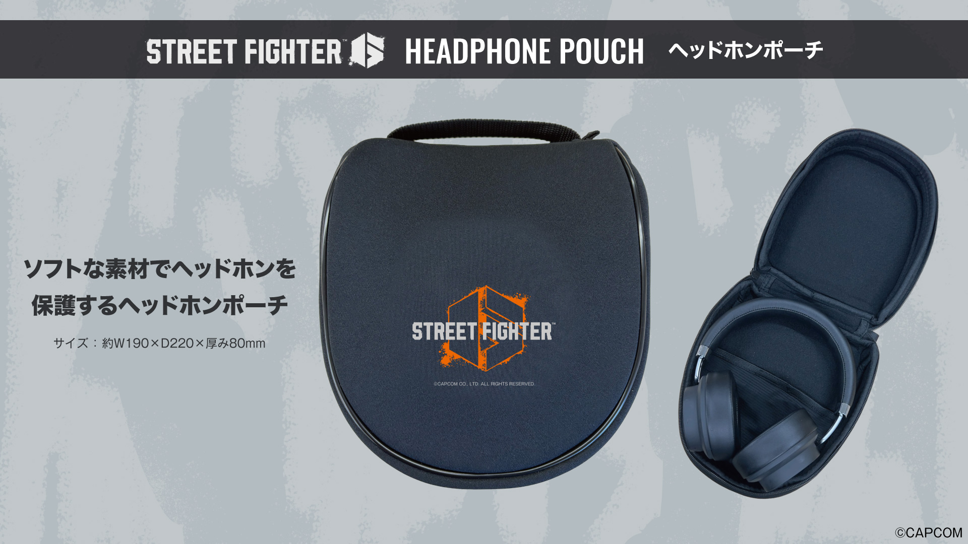 SF6_AOW03_音アニ_07.jpg