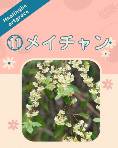 344F2730-DFC9-4EFF-B14C-18A9FBB12E9F.png