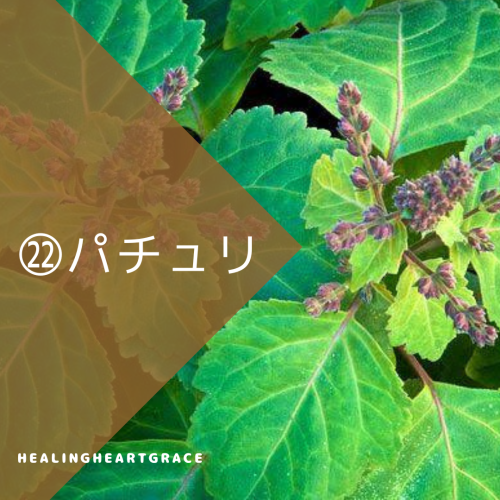 921E9909-D3D8-4B16-A028-91D2D93C2612.png