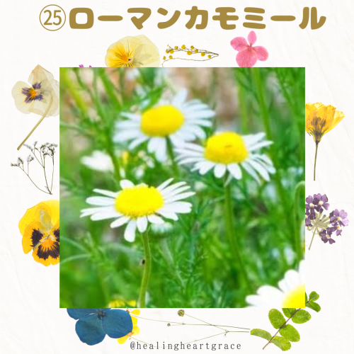 415B6416-4383-46FA-88E1-3C5EC22FA42D.png