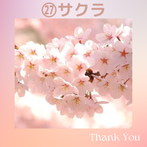 8329B05D-96FE-4BE3-BB4A-9EAF7CDB624A.png
