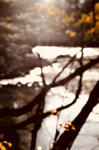 DSC_9127.jpeg
