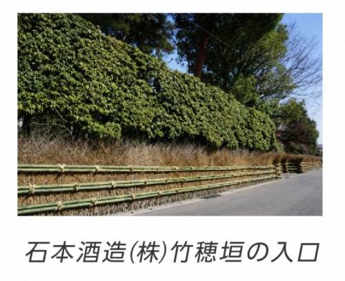 Screenshot_20260821-115030.png