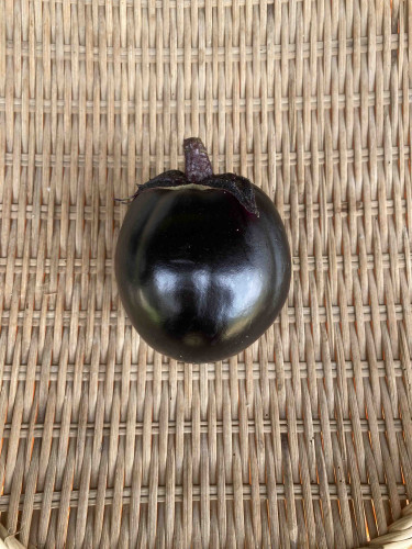 賀茂なす.jpg