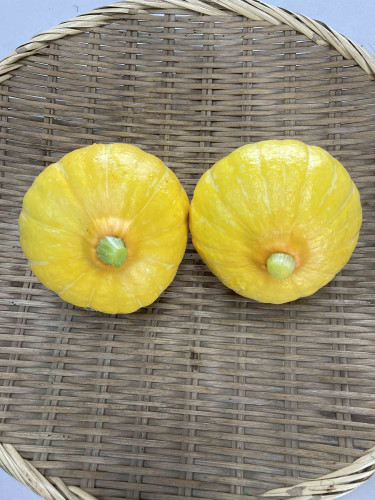 かぼちゃを追加いたしました