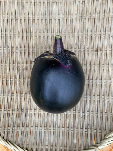賀茂なす.jpg