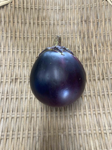 なす　大芹川（賀茂なす）.jpg
