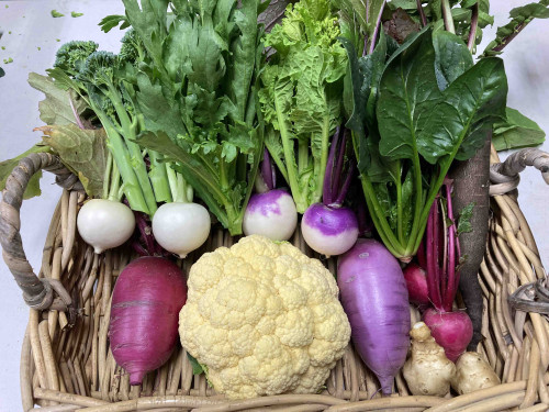 冬の野菜セット