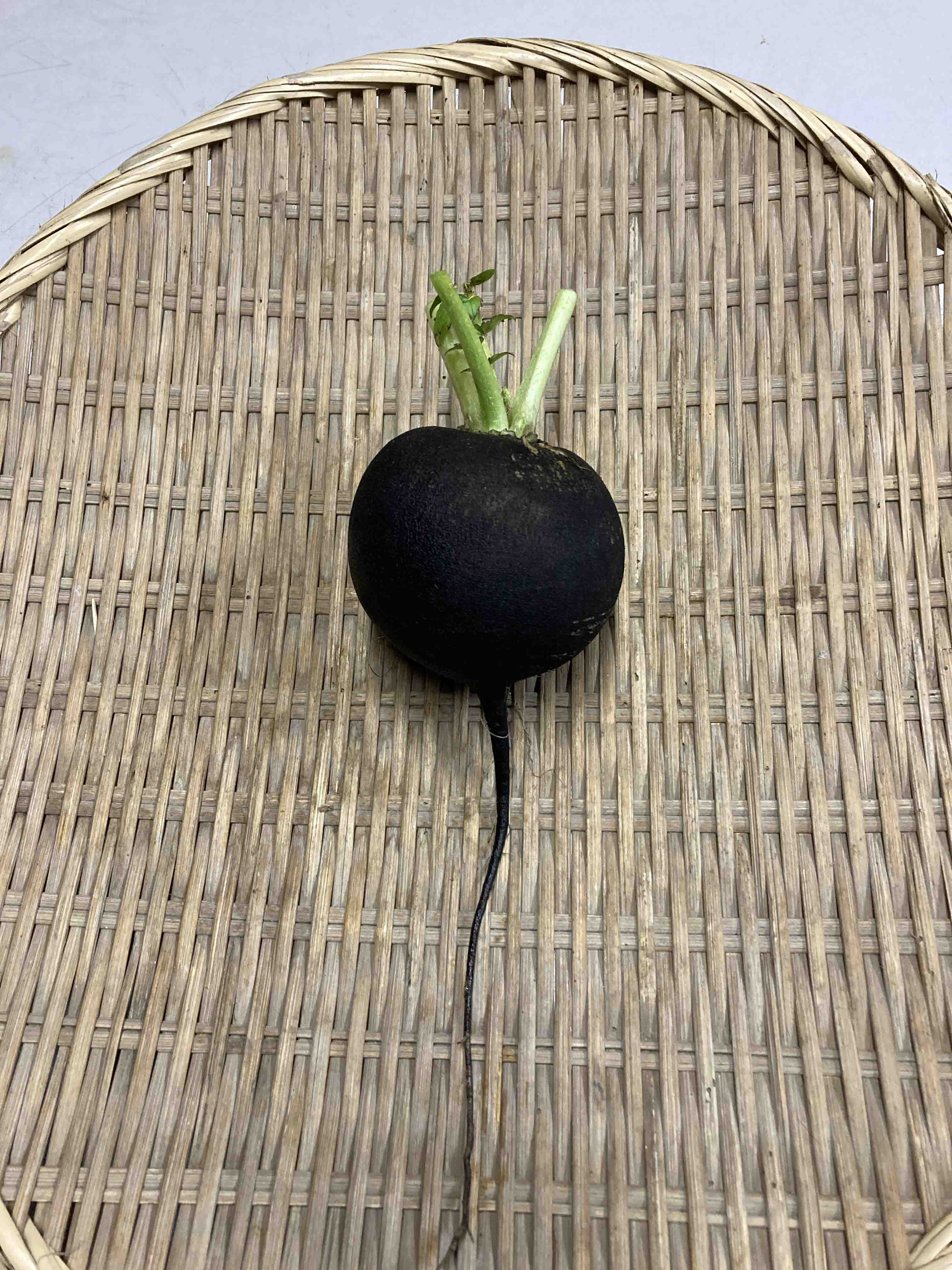 黒丸大根.jpg