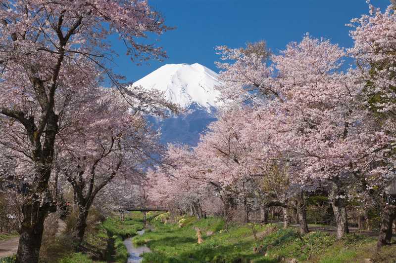 日本一の富士山の麓・困った時のアサテック
