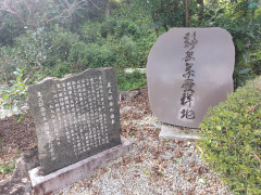 11月1日は静岡市「お茶の日」