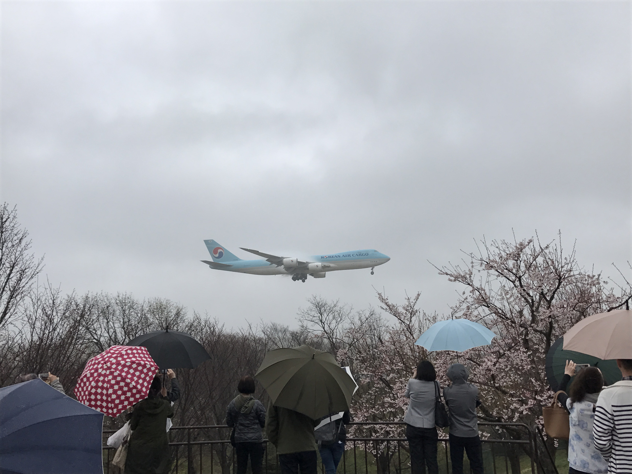 さくらの山公園