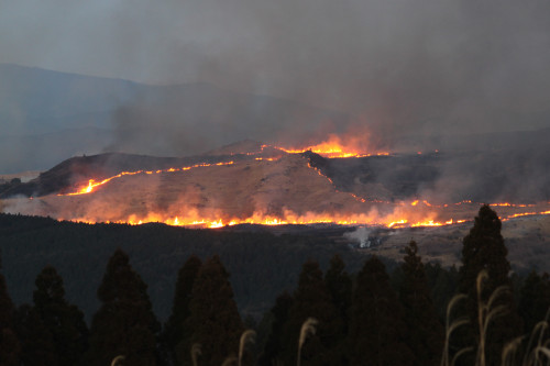 沢原高原の野焼き.JPG