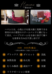 ハマム説明ポスター (2).png