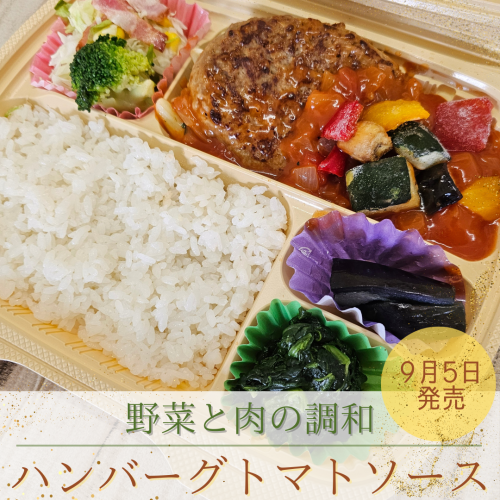 野菜と肉の調和3.png