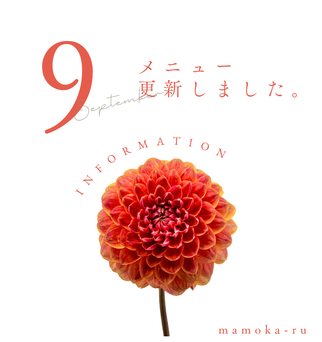 9月のメニュー更新しました。