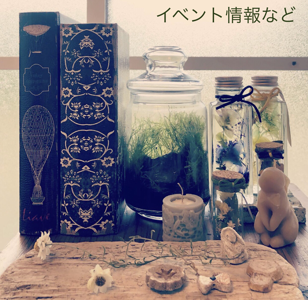 5月3日の予定