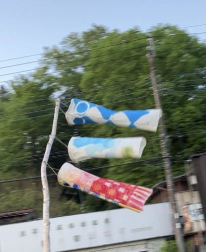 IMG_1290.jpeg