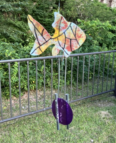 IMG_2681.jpeg