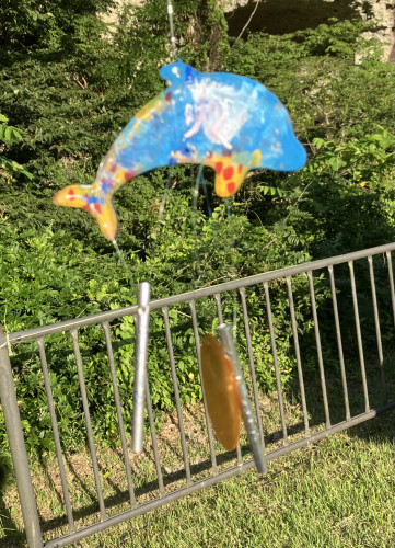 IMG_2672.jpeg