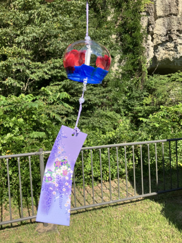 IMG_2620.jpeg