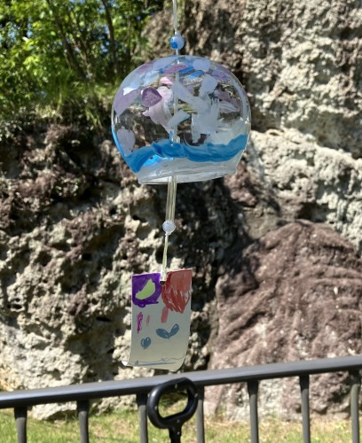 IMG_2593.jpeg