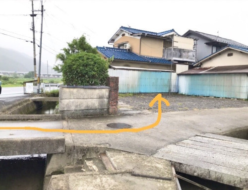 S__39288844.jpg
