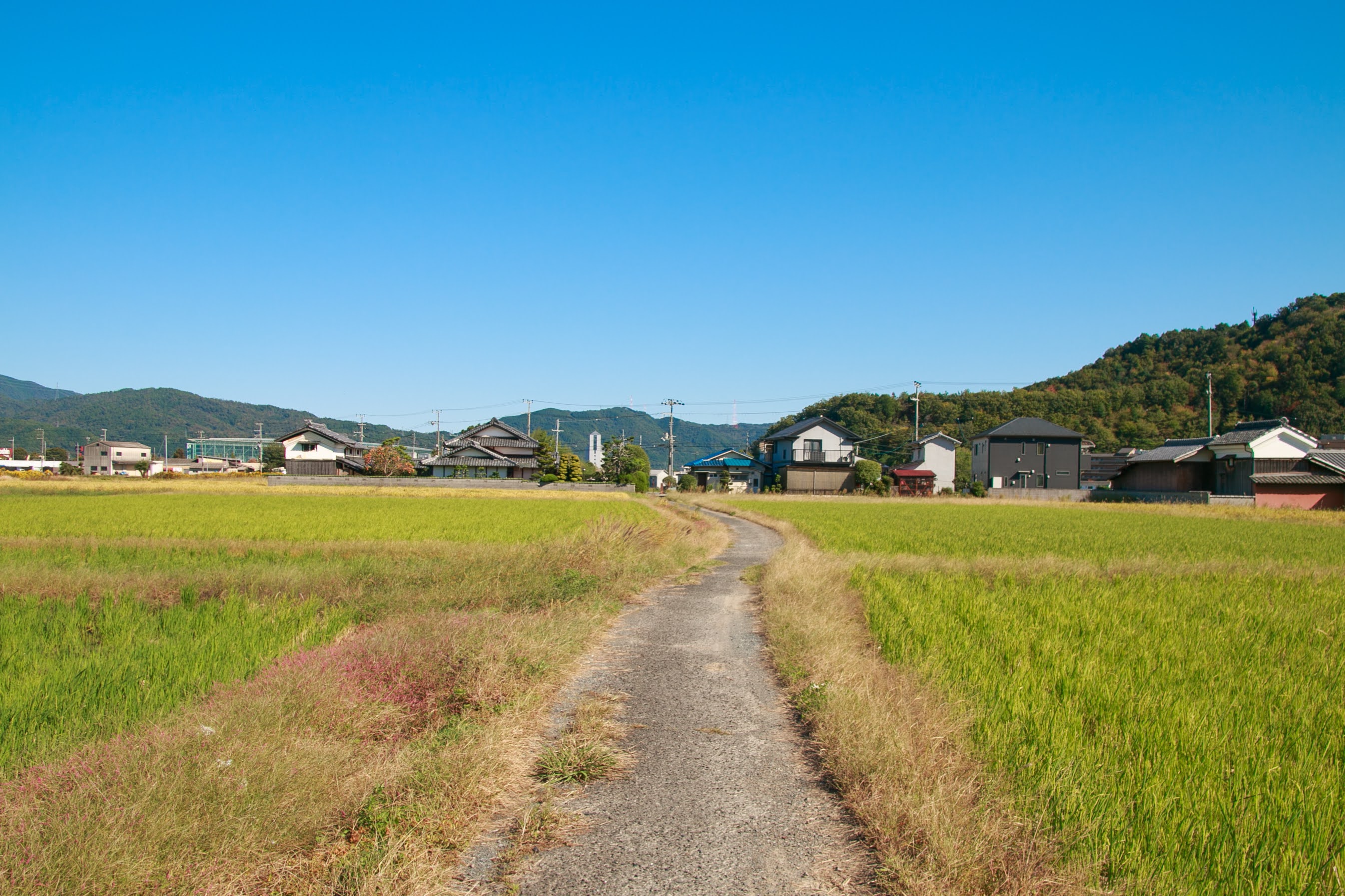 2027年度の営業について