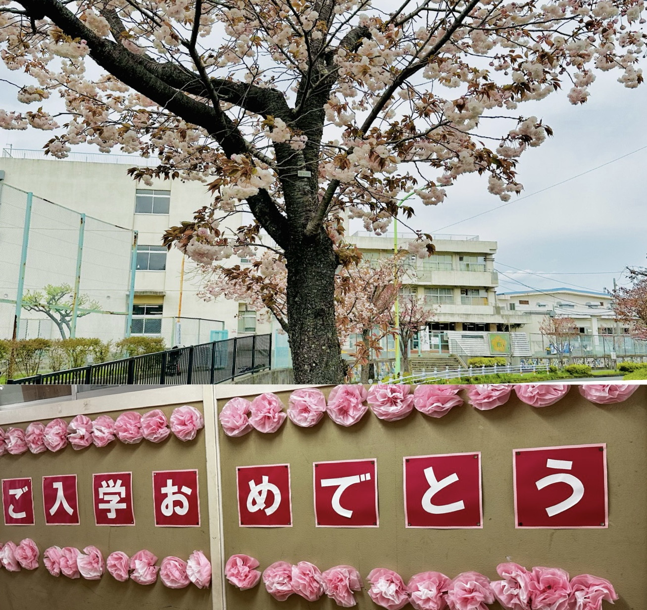 #小山田南小学校おやじの会 の #ふじた学 です。  　桜も少し残り、4年ぶりに地元小学校の入学式に出席しました。 　2年生みんなから新入生への微笑ましいメッセージの場面には、少し涙っとしました。  