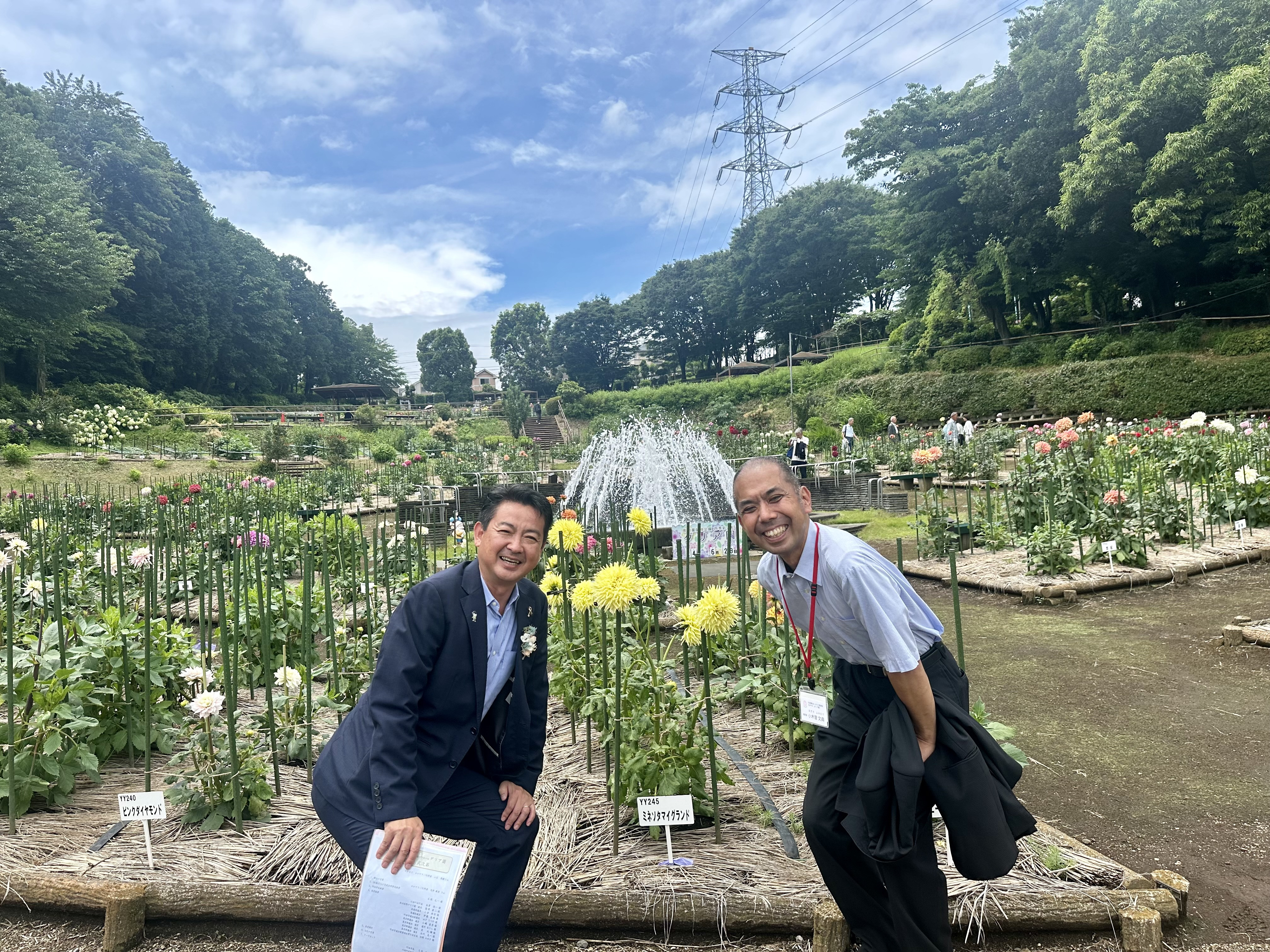 町田ダリア園が開園しました。 　今年、障がいある方々が心を込めて、素敵な花を咲かせてくれました。 　世界一のダリアを咲かせて、笑顔にあふれていました。皆さん、素敵すぎます。 #町田ダリア園 #まちだ育