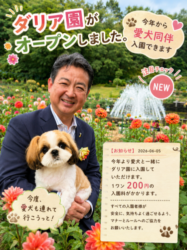 🌸町田薬師池公園四季彩の杜ダリア園がオープンしました🌸  今年から、愛犬同伴で入園できるようになりました🐶✨ （※１ワン200円の入園料がかかります）  今日は「ルルと一緒に行ったらこんな感じか