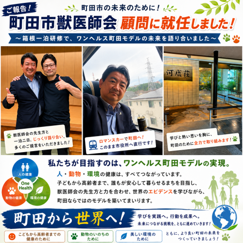 7D9F53D1-33D2-4387-B98C-3FB5323CD272.png