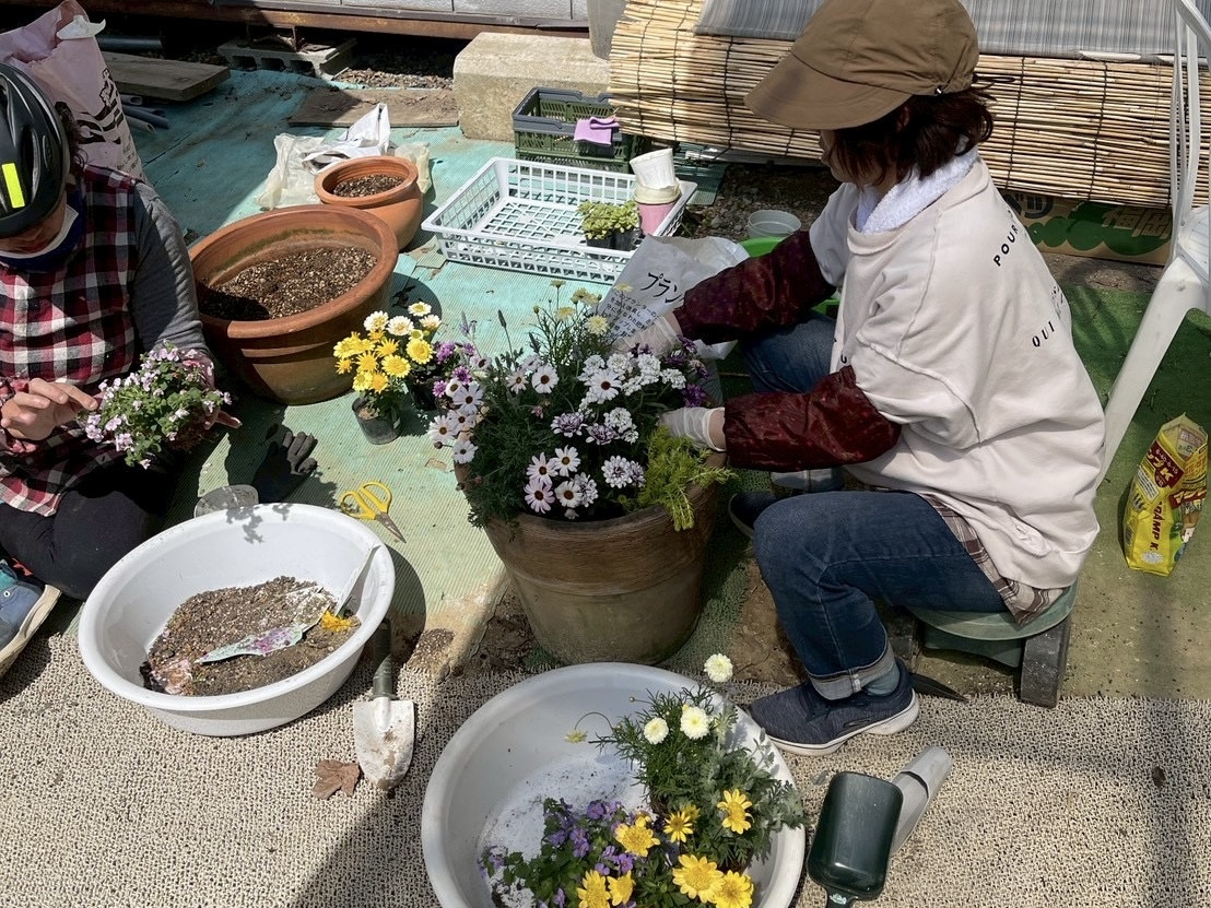 種まき