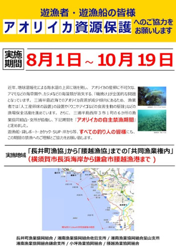 アオリポスター②.jpg