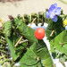 DSC_7092.jpeg