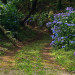 DSC_7046 (1).jpeg