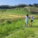 IMG_8728.jpeg