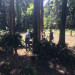 IMG_8778.jpeg