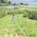 IMG_8808.jpeg