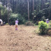 IMG_9591.jpeg