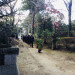IMG_1067.jpeg