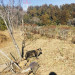 IMG_1493.jpeg