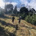 IMG_1522.jpeg