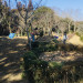 IMG_1678.jpeg