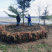 IMG_2046.jpeg