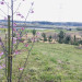 IMG_2055.jpeg